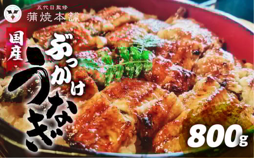 うなぎのカネナカ 国産うなぎ きざみ蒲焼 10袋 うなぎ 国産 蒲焼 カット済 カネナカ うなぎ 蒲焼 国産うなぎ愛知県豊橋市24000魚介・海産物うなぎ