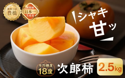 s\ Y`@i 9jmLs16000ʕEt[c̑ ʕEt[c