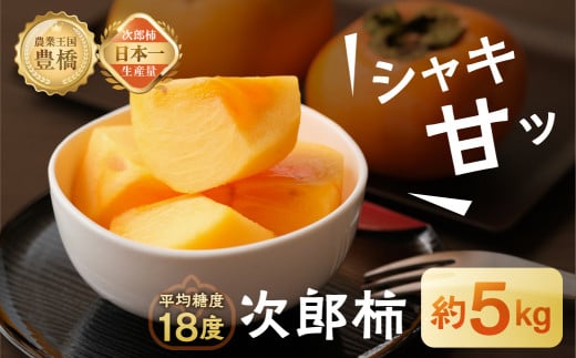 ≪先行予約≫ 次郎柿 平箱(約20〜25個)愛知県豊橋市15000果物・フルーツその他 果物・フルーツ