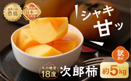 ≪先行予約≫次郎柿 平箱(訳あり)愛知県豊橋市12000果物・フルーツその他 果物・フルーツ