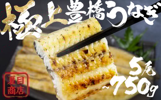 極上 豊橋うなぎ 白焼 5尾 750g 夏目商店愛知県豊橋市30000魚介・海産物うなぎ