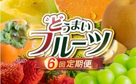 《先行予約》どうまい フルーツ 定期便 全6回 いちご メロン シャインマスカット 巨峰 梨 柿 みかん 果物 フルーツ 旬 先行予約愛知県豊橋市65000果物・フルーツその他 果物・フルーツ