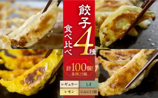 計100個! 国産餃子 4種食べ比べセット愛知県豊橋市14000鍋セット・総菜・加工食品総菜