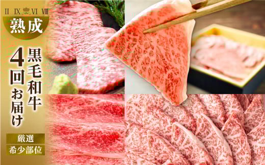 黒毛和牛 みかわ牛 希少部位 全4回 定期便愛知県豊橋市120000肉牛肉