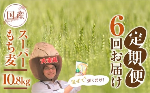 豊橋産スーパーもち麦 定期便 6回(1.8kg×6)愛知県豊橋市47000米・パン玄米・雑穀米・もち米・餅