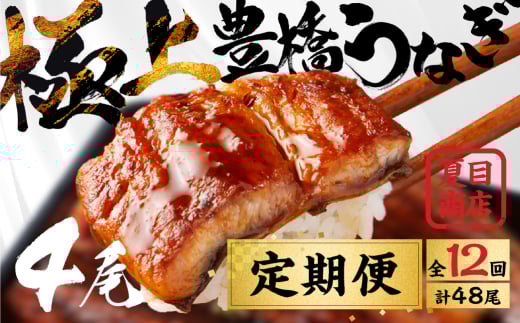 豊橋うなぎ 蒲焼 4尾 定期便 12回お届け 夏目商店 蒲焼 国産 国産うなぎ 蒲焼 長焼 ウナギ愛知県豊橋市288000魚介・海産物うなぎ