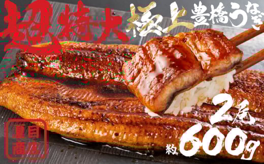 豊橋うなぎ 蒲焼 特大サイズ 2尾 夏目商店 蒲焼 国産 国産うなぎ 蒲焼 長焼 ウナギ愛知県豊橋市19000魚介・海産物うなぎ