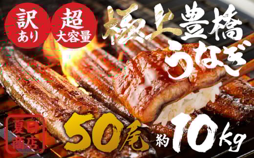 豊橋うなぎ 大容量 50尾 業務用 長蒲焼  夏目商店 蒲焼 国産 国産うなぎ 蒲焼 長焼 ウナギ愛知県豊橋市340000魚介・海産物うなぎ