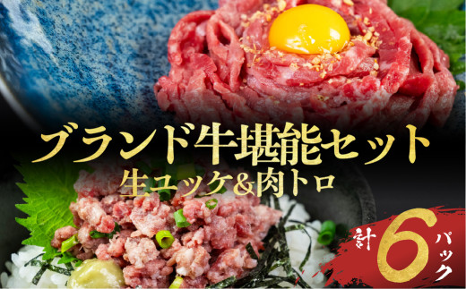 和牛ユッケ&肉トロ 生食牛肉セット(源氏和牛ユッケ / 段戸山高原牛肉トロ)タレ付  生食用牛肉愛知県豊橋市20000肉牛肉