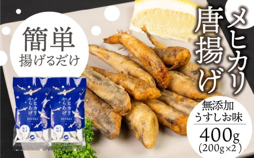 qJg 400g Yi200g×2jmLs5000ECY̑ ECY