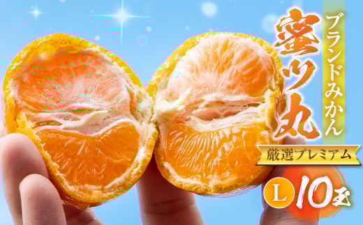 ≪先行予約≫こだわり蜜柑 蜜ツ丸 厳選プレミアム Lサイズ 10玉 黒の化粧箱入 マルカワ園芸 みかん こだわりみかん おみかん屋 ミカン mikan 蜜柑愛知県豊橋市10000果物・フルーツみかん・柑