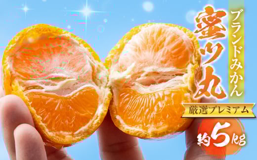 ≪先行予約≫こだわり蜜柑 蜜ツ丸 厳選プレミアム 約5kg  レギュラー箱入 マルカワ園芸 みかん こだわりみかん おみかん屋 ミカン mikan 蜜柑愛知県豊橋市24000果物・フルーツみかん・柑橘類