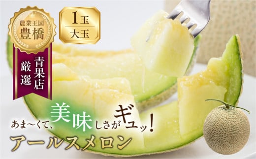 s\ 2026N L鉺ńwA[X ʁx 1ʈmLs10000ʕEt[cEXCJ