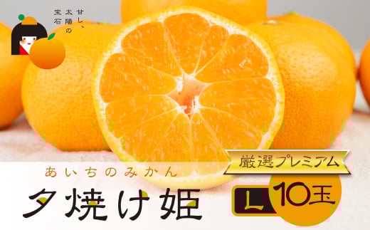 薨 [ĂP Iб ̉ϔ L 10ʁ@}J|mLs10000ʕEt[c݂Ek