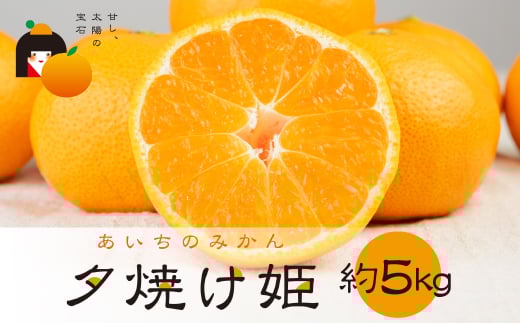 こだわり蜜柑 夕焼け姫 厳選プレミアム レギュラー箱 約5kg マルカワ園芸愛知県豊橋市30000果物・フルーツみかん・柑橘類