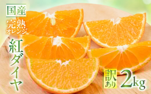 こだわり蜜柑 紅ダイヤ 家庭用 バラ詰め 約2kg入 マルカワ園芸愛知県豊橋市10000果物・フルーツみかん・柑橘類