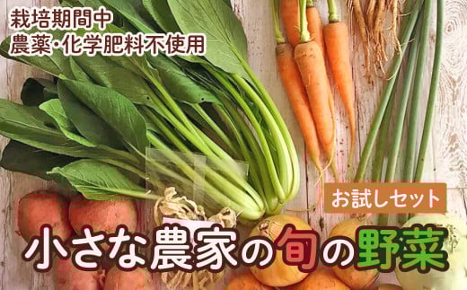 旬の野菜セット 野菜3〜4品 お試し 野菜 野菜詰め合わせ おまかせ 新鮮 旬の野菜 愛知県 豊橋市愛知県豊橋市5000野菜・きのこその他 野菜