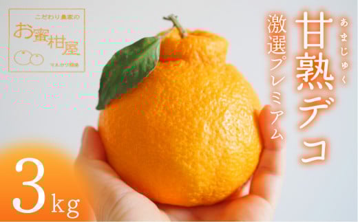 ≪先行予約≫ 完熟しらぬい『甘熟デコ』厳選プレミアム レギュラー箱 3kg みかん 蜜柑 柑橘 デコポン マルカワ園芸愛知県豊橋市15000果物・フルーツみかん・柑橘類