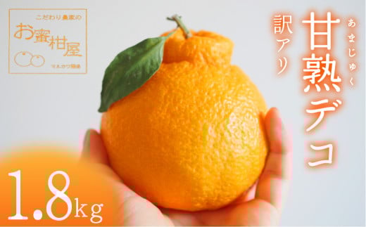 ≪先行予約≫ 完熟しらぬい『甘熟デコ』ご家庭用 約1.8kg みかん 蜜柑 柑橘 デコポン マルカワ園芸愛知県豊橋市9000果物・フルーツみかん・柑橘類