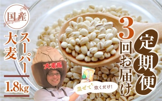 国産スーパー 大麦 3回定期便 (1.8kg × 3)計5.4kg 月に1回お届け 食物繊維 たっぷり 大麦 麦 麦ごはん 麦味噌 麦みそ 混ぜて炊くだけ 雑穀米 健康 定期便 3回 愛知県 豊橋市愛知県豊橋市24000米