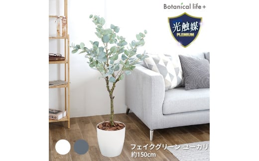 tFCNO[ [J 150cm G}H t CeA R L m Ls  58000~mLs58000ߗށEiEH|ȋ iEH|i