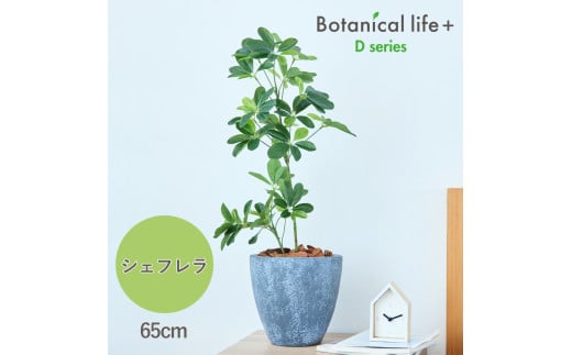 tFCNO[ Botanical life+ DV[Y VFt 65cm G}H t CeA R L m Ls  41000~mLs41000ߗށEiEH|ȋ iEH|i