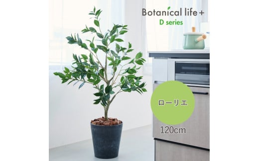 フェイクグリーン Botanical life+ Dシリーズ ローリエ 120cm 光触媒加工 鉢付き インテリア 抗菌 消臭 愛知県 豊橋市  52000円愛知県豊橋市52000衣類・装飾品・工芸品その他 装飾品・工芸品