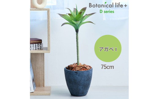 tFCNO[ Botanical life+ DV[Y AKxI 75cm G}H t CeA R L m Ls  35000~mLs35000ߗށEiEH|ȋ iEH|i