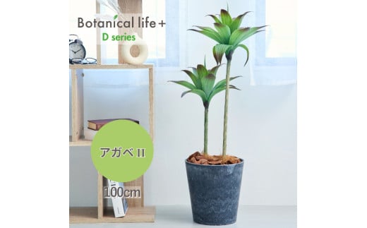tFCNO[ Botanical life+ DV[Y AKxII 100cm G}H t CeA R L m Ls  47000~mLs47000ߗށEiEH|ȋ iEH|i