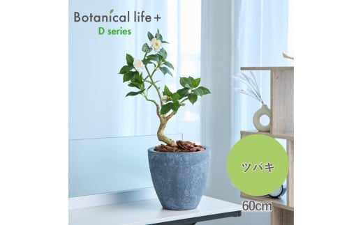 フェイクグリーン Botanical life+ Dシリーズ ツバキ 60cm 光触媒加工 鉢付き インテリア 抗菌 消臭 愛知県 豊橋市  35000円愛知県豊橋市35000衣類・装飾品・工芸品その他 装飾品・工芸品