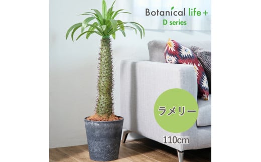 tFCNO[ Botanical life+ DV[Y [ 110cm G}H t CeA R L m Ls  52000~mLs52000ߗށEiEH|ȋ iEH|i
