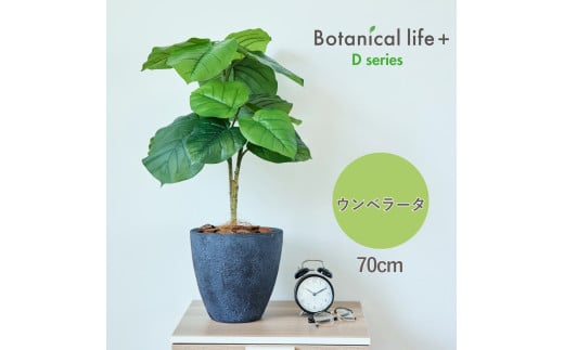 tFCNO[ Botanical life+ DV[Y Ex[^ 70cm G}H t CeA R L m Ls  41000~mLs41000ߗށEiEH|ȋ iEH|i