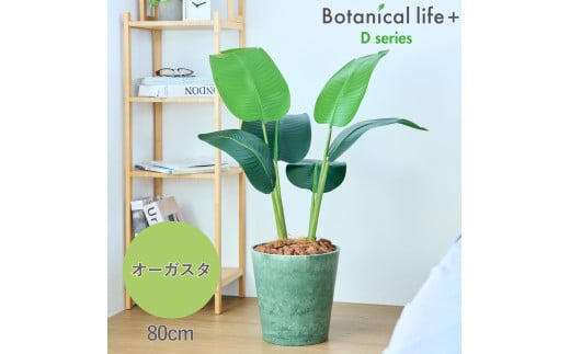 フェイクグリーン Botanical life+ Dシリーズ オーガスタ 80cm 光触媒加工 鉢付き インテリア 抗菌 消臭 愛知県 豊橋市  41000円愛知県豊橋市41000衣類・装飾品・工芸品その他 装飾品・工芸品