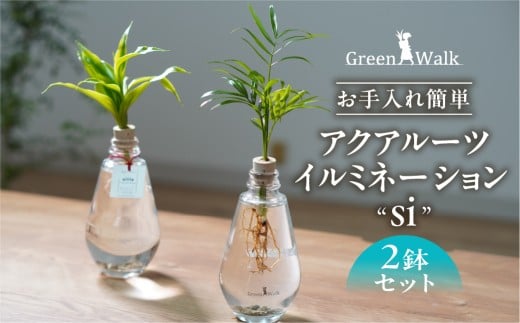 ANA[cC~l[V QZbg CeA  O[ A ȒP S 킢 R   Green Walk O[EH[N m LsmLs13000ߗށEiEH|