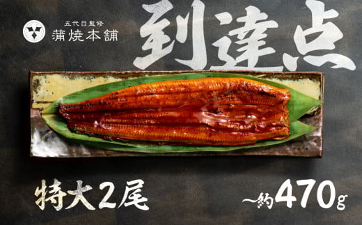 ふっくら肉厚!国産うなぎ 蒲焼 特大 2尾 老舗 国産うなぎ セット 詰め合わせ 蒲焼 ウナギ うなぎ unagi 鰻愛知県豊橋市25000魚介・海産物うなぎ