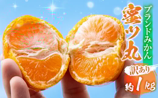 ≪先行予約≫こだわり蜜柑 蜜ツ丸 家庭用 バラ詰め 約1kg+痛み補償250g マルカワ園芸 みかん こだわりみかん おみかん屋 ミカン mikan 蜜柑愛知県豊橋市5000果物・フルーツみかん・柑橘類