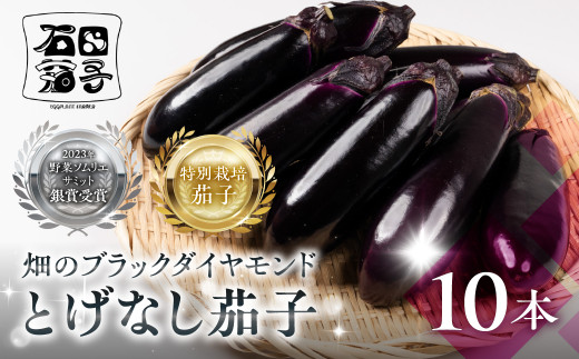 ≪先行予約≫とげなし茄子 10本  ナス 茄子 なす なすび 野菜 旬 旬の野菜 糖度 石田茄子 トゲなし とげなし お取り寄せ 健康 夕飯 おかず 愛知県 豊橋市愛知県豊橋市6000野菜・きのこその他