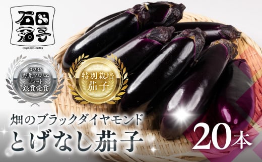 ≪先行予約≫とげなし茄子 20本  ナス 茄子 なす なすび 野菜 旬 旬の野菜 糖度 石田茄子 トゲなし とげなし お取り寄せ 健康 夕飯 おかず 愛知県 豊橋市愛知県豊橋市10000野菜・きのこその