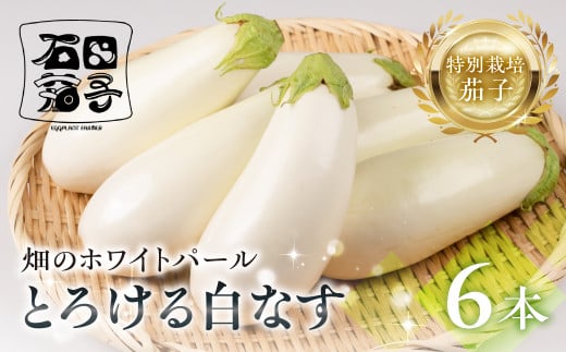 ≪先行予約≫白茄子 6本 ナス 茄子 なす なすび 白なす しろなす 白ナス 白茄子 野菜 旬 旬の野菜 糖度 石田茄子 お取り寄せ 健康 夕飯 おかず 愛知県 豊橋市愛知県豊橋市6000野菜・きのこそ