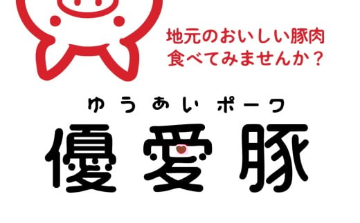【9パック 2.25kg】国産 三元豚 真空パック 小分け 豚肉 優愛豚 豚こま切れ愛知県豊橋市10000肉豚肉