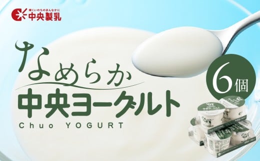 中央製乳 中央ヨーグルト2p 6個セット こだわり なめらか おやつ デザート 乳製品 乳酸菌 健康 腸活 ロングセラー 愛知県 豊橋市愛知県豊橋市6500卵・乳製品ヨーグルト
