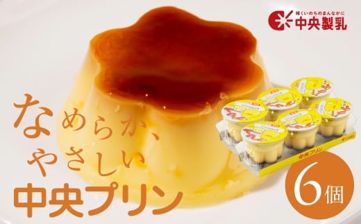 中央製乳 中央プリン3p 6個セット こだわり なめらか おやつ デザート 定番 甘い たまご カラメルソース 厳選素材 愛知県 豊橋市愛知県豊橋市5000菓子・スイーツプリン・ゼリー