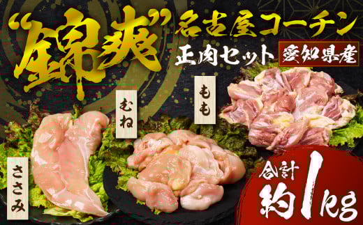 ÉR[` Zbg 800g Y  ނ  {   1kg 1L  l  ނ˓  Ƃ肳 uh{ n{ uhn{ Ƃ Ƃނ ёu{ m L