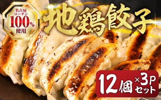 名古屋コーチン餃子 36個 (12個入×3パック) 冷凍餃子 こだわり餃子 おススメ 美味しい 餃子 ぎょうざ ギョウザ ギョーザ 惣菜 冷凍 名古屋コーチン 地鶏 ブランド地鶏 冷凍食品 セット 国産