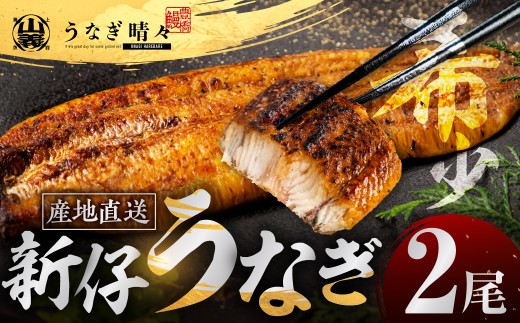 山義養魚の『うなぎ晴々』 2尾 希少  豊橋うなぎ 蒲焼 厳選 国産 新仔うなぎ 若うなぎ 鰻 簡易包装 ウナギ うなぎ 鰻 蒲焼 ギフト ひつまぶし 土用丑の日 ギフト 冷凍  丑の日 簡単調理 豊橋