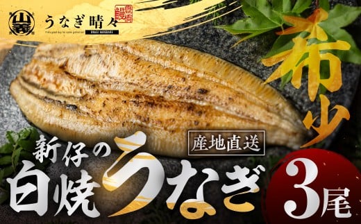 山義養魚の『うなぎ晴々』 白焼 3尾 希少 豊橋うなぎ 厳選 国産 新仔うなぎ 若うなぎ 鰻 簡易包装 ウナギ 鰻 ギフト 土用丑の日 ギフト 冷凍 お取り寄せ  日本酒と わさび 山椒 塩 大人 贅沢