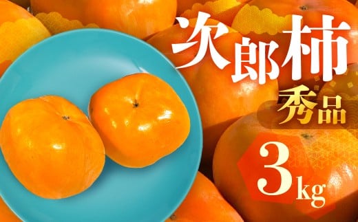 ≪先行予約≫ 数量限定 生産量日本一 愛知県豊橋産 次郎柿 秀品 贈り物にも! 3kg 柿 甘柿 果物 フルーツ 10月 11月 愛知県 豊橋市 ビタミンC 高栄養価 食物繊維 旬をおとどけ愛知県豊橋市12000