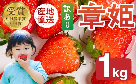 ≪先行予約!≫ 章姫 訳ありいちご 計1kg ( 約250g × 4 ) いちご イチゴ 苺 あきひめ フルーツ 旬 果物 デザート おやつ 採れたて 10000円 1万円 ショートケーキ フルーツサンド にも スイーツ 産