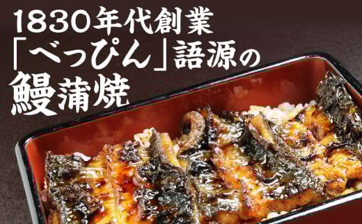 ≪年内お届け!≫豊橋産『べっぴんうなぎの蒲焼』 3尾愛知県豊橋市45000魚介・海産物うなぎ