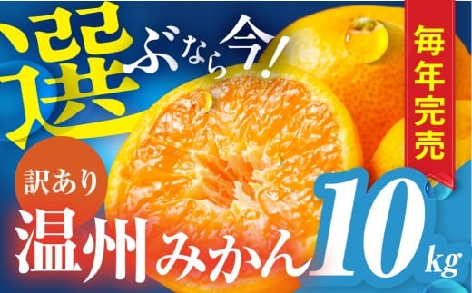 温州みかん ご家庭用 10kg 訳あり 年末配送 年内配送 選べる わけあり 10キロ みかん ミカン 蜜柑 mikan 柑橘 旬 フルーツ 果物 愛知県 豊橋市 国産 豊橋産 愛知県 豊橋市愛知県豊橋市30000果物・